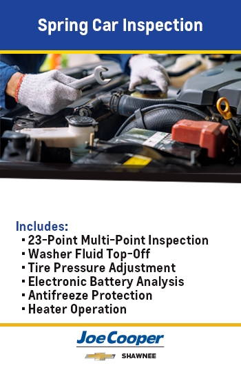 Spring Car Inspection